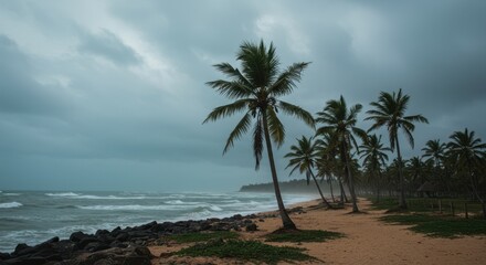 Fototapeta premium Tropical beach with palm trees in stormy weather capturing dramatic ocean waves