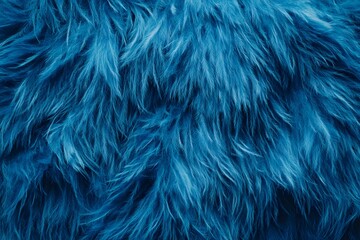 Obraz premium Dense Aggregation of Deep Blue Feathers