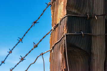 barbed wire fence