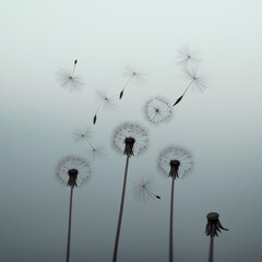 Obraz premium Elegant Dandelion Seeds Floating in Gentle Breeze Serenity Nature Background