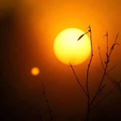 sunset in the mountains