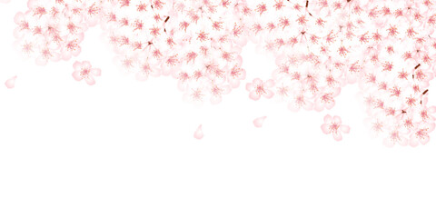 桜　和柄　水彩　背景