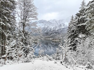 Лес и Озеро