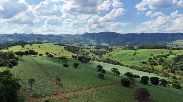 Campo Verde Minas Gerais