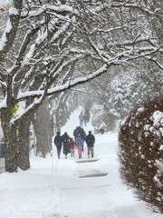 people walking in the snow