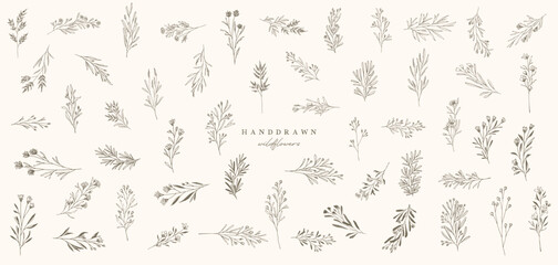 Hand Drawn Floral Branch, Flower Tattoo, Hand Drawn Minimalist Herb and Leaves, Botanical Greenery, Wedding Invitation Decoration, Natural Floral Background Isolated Vector