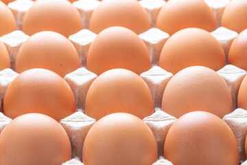 Close-up of raw chicken eggs in cardboard tray