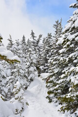 雪の黒斑山の登山道