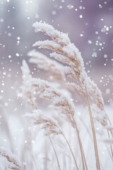 Nature background with beautiful wheat grasses and wild flowers