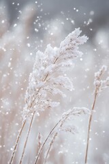 Nature background with beautiful wheat grasses and wild flowers