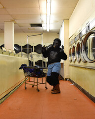 Funny Gorilla Dancing to Music Doing Laundry