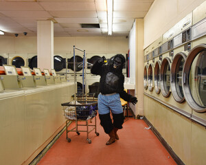 Funny Gorilla Dancing to Music Doing Laundry