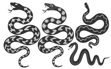 Obraz premium Intricate Black and White Snake Illustrations