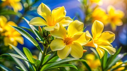 Obraz premium Yellow Oleander Rule of Thirds Photography: Vibrant Flower Close-up