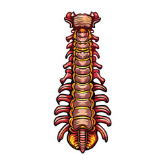 Design a detailed vector illustration of electron spin, showcasing both spin up and spin down states with clear visual representation of magnetic moments.
