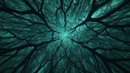 A dramatic view of a dense forest canopy, showcasing intricate branches and a moody atmosphere, evoking a sense of mystery and connection to nature.