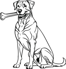 A dog sitting with a bone in its mouth, line art, no color, white background, clear line art, stylish line art 10.eps