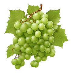 Obraz premium bunch of grapes