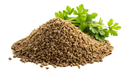 celery seeds stack isolated on transparent background