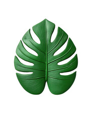 Green Curved Palm Frond with Evenly Spaced Leaves