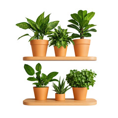 Obraz premium Vertical Wooden Shelf with Vibrant Potted Plants