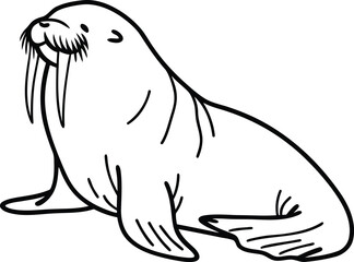 Walrus silhouette vector illustration, Walrus line art vector, Walrus vector
