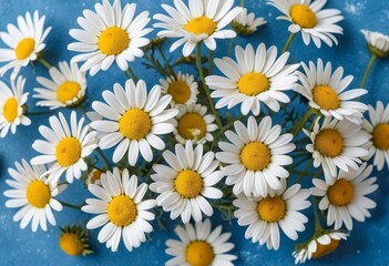 A close-up of a bouquet of chamomile flowers on a blue background
