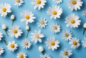 A close-up of white flowers against a blue background