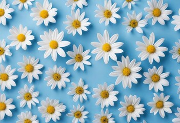 A close-up of white flowers against a blue background