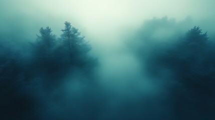 Naklejka premium Enigmatic Forest Trees Hidden In Thick Fog