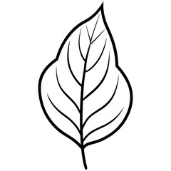 Delicate Leaf Outline Design