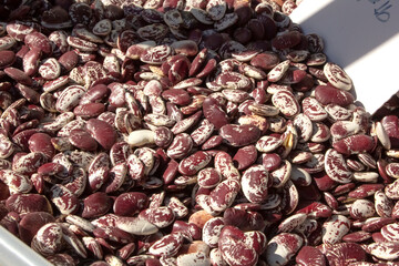 A view of a pile of Christmas lima beans, seen at the farmers market.