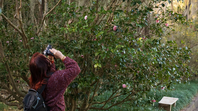 lady taking pictures in a park