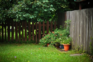 Lush Green Garden Corner with Flower Pots and Wooden Fence Surrounded by Verdant Grass and Overhanging Leaves in a Serene Outdoor Setting