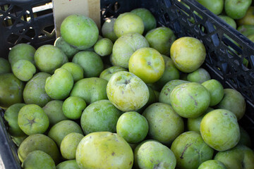 A view of a crate full of sapote, on display at a local farmers market.
