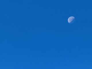 朝日が昇った後の月と空