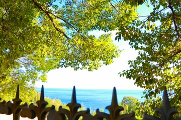 木々の向こうに見える海