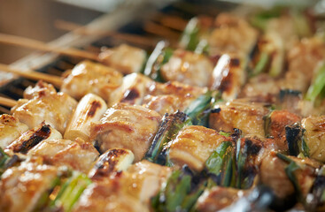 Grilled chicken skewers, seasoned chicken