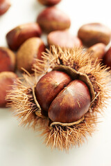 chestnuts on a white background	