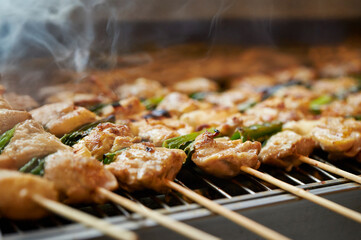 Grilled chicken skewers, seasoned chicken