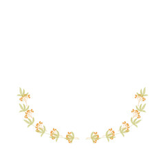 Hand drawn flower wreath illustration