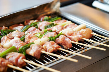Grilled chicken skewers, seasoned chicken