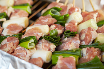 Grilled chicken skewers, seasoned chicken