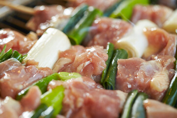 Grilled chicken skewers, seasoned chicken