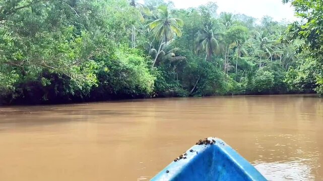 After the rain stopped, the boat glided slowly along the brown-colored Maron River.