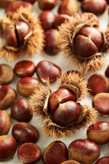 chestnuts on a white background