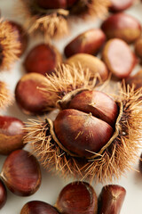 chestnuts on a white background