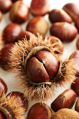 chestnuts on a white background
