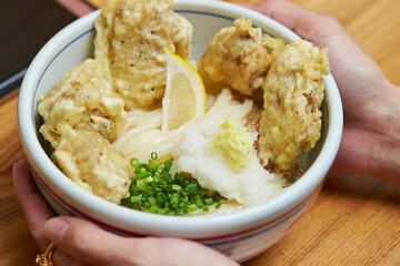 Udon with chicken, Japanese style udon