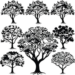set consistent enchanted jacaranda black color vector